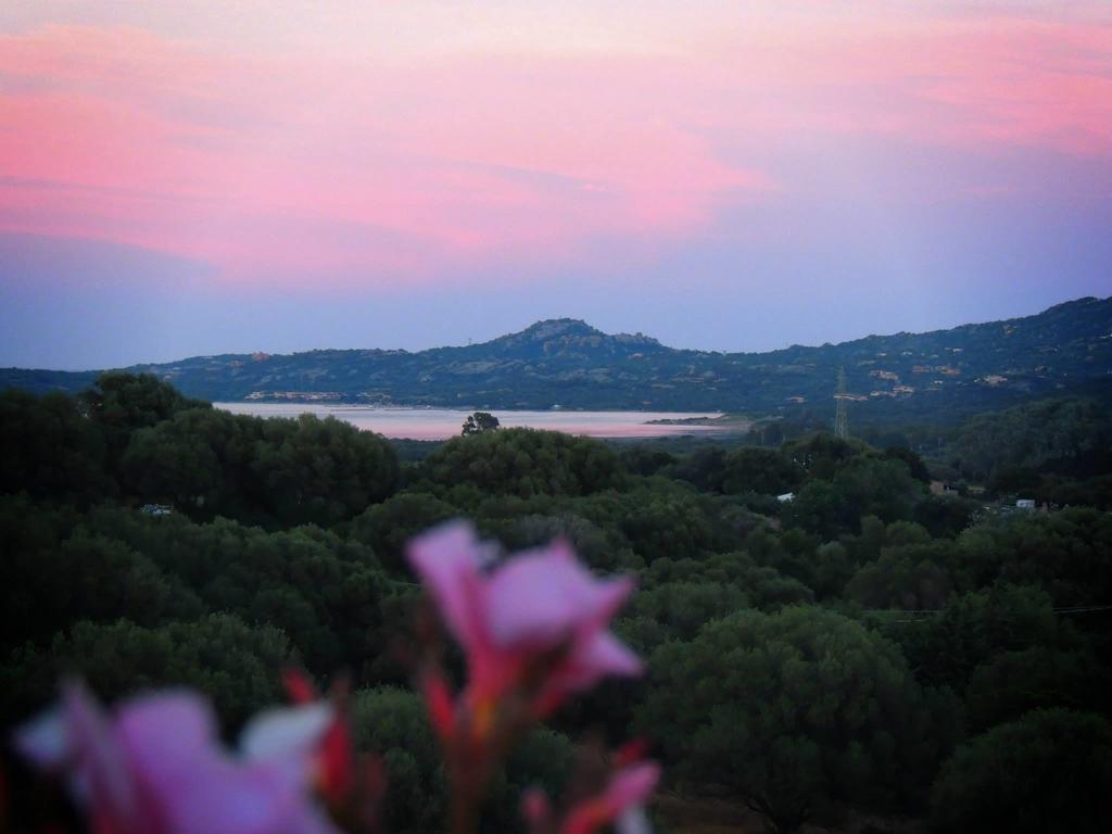 Agriturismo Sa Mendhula Cugnana Pokój zdjęcie