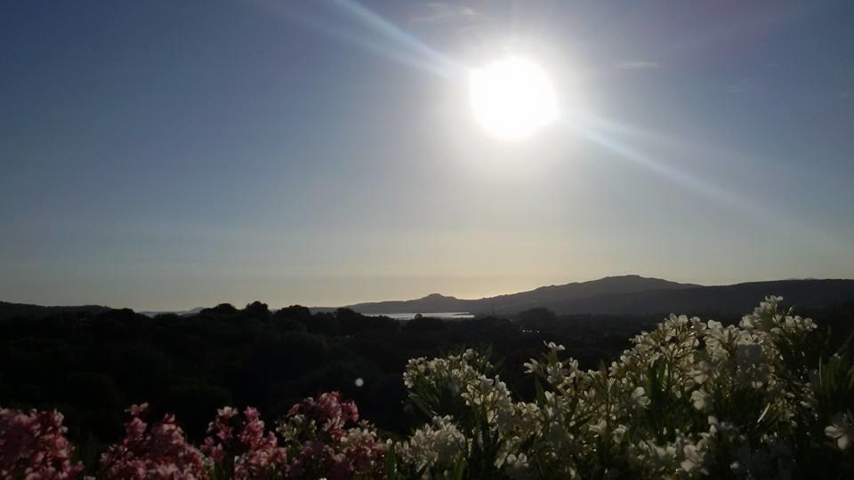 Agriturismo Sa Mendhula Cugnana Pokój zdjęcie