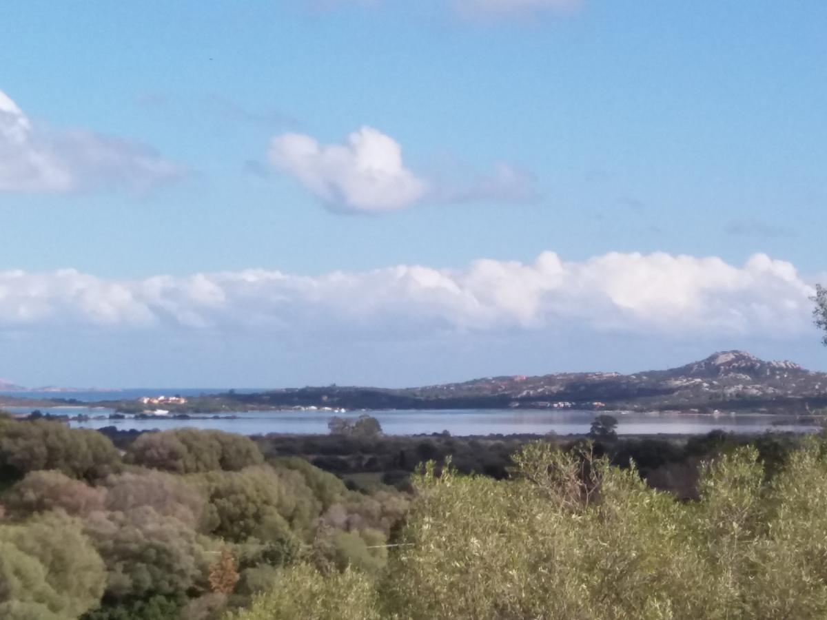 Agriturismo Sa Mendhula Cugnana Zewnętrze zdjęcie